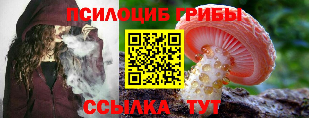 Севастополь  Псилоцибиновые грибы Psilocybe  Вход с VPN  Галлюциногенные грибы мухоморы 