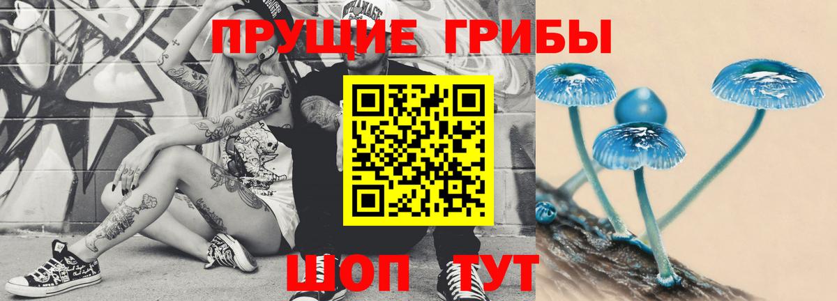 Галлюциногенные грибы Magic Shrooms Севастополь